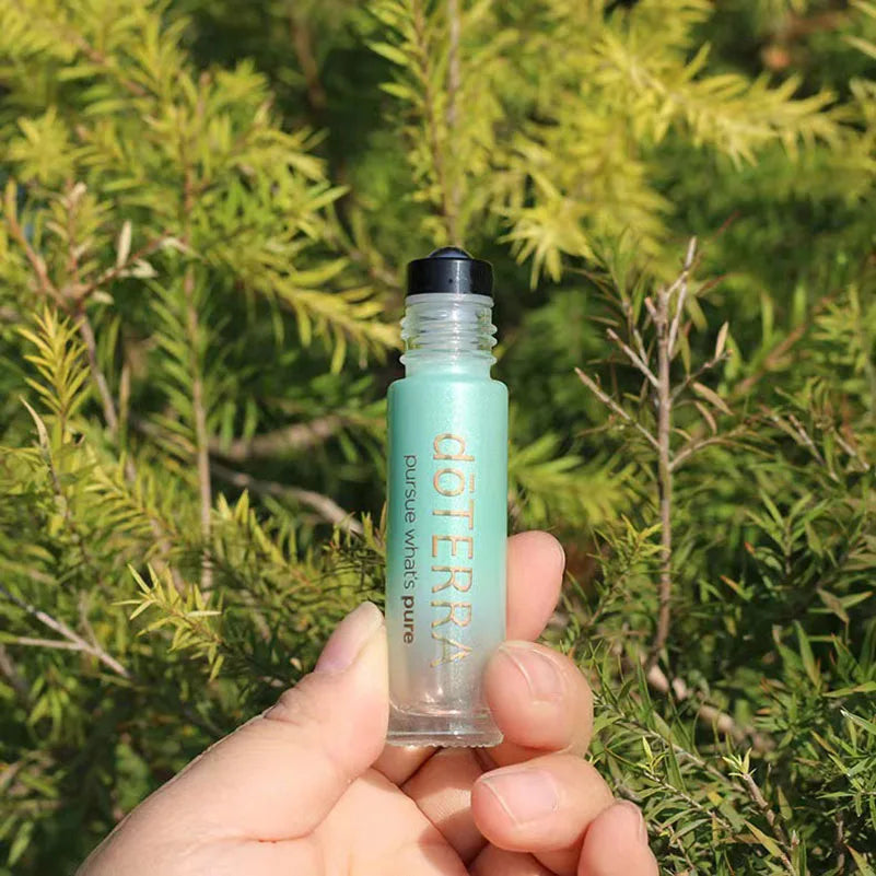 Lot de 6 roll-on doterra 10 ml – Bouteilles en verre pour huiles essentielles
